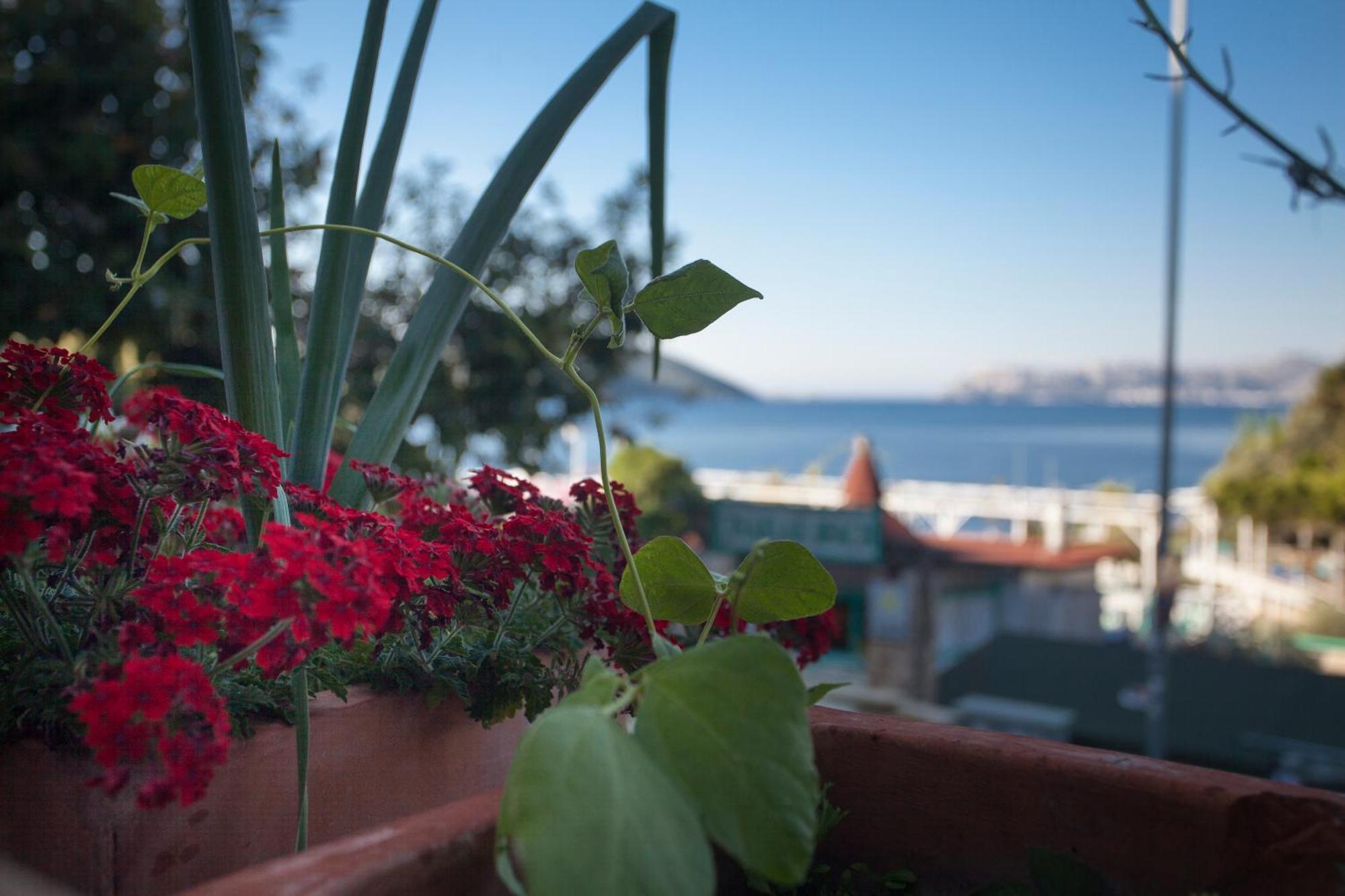Hotel Ferah Κας Εξωτερικό φωτογραφία