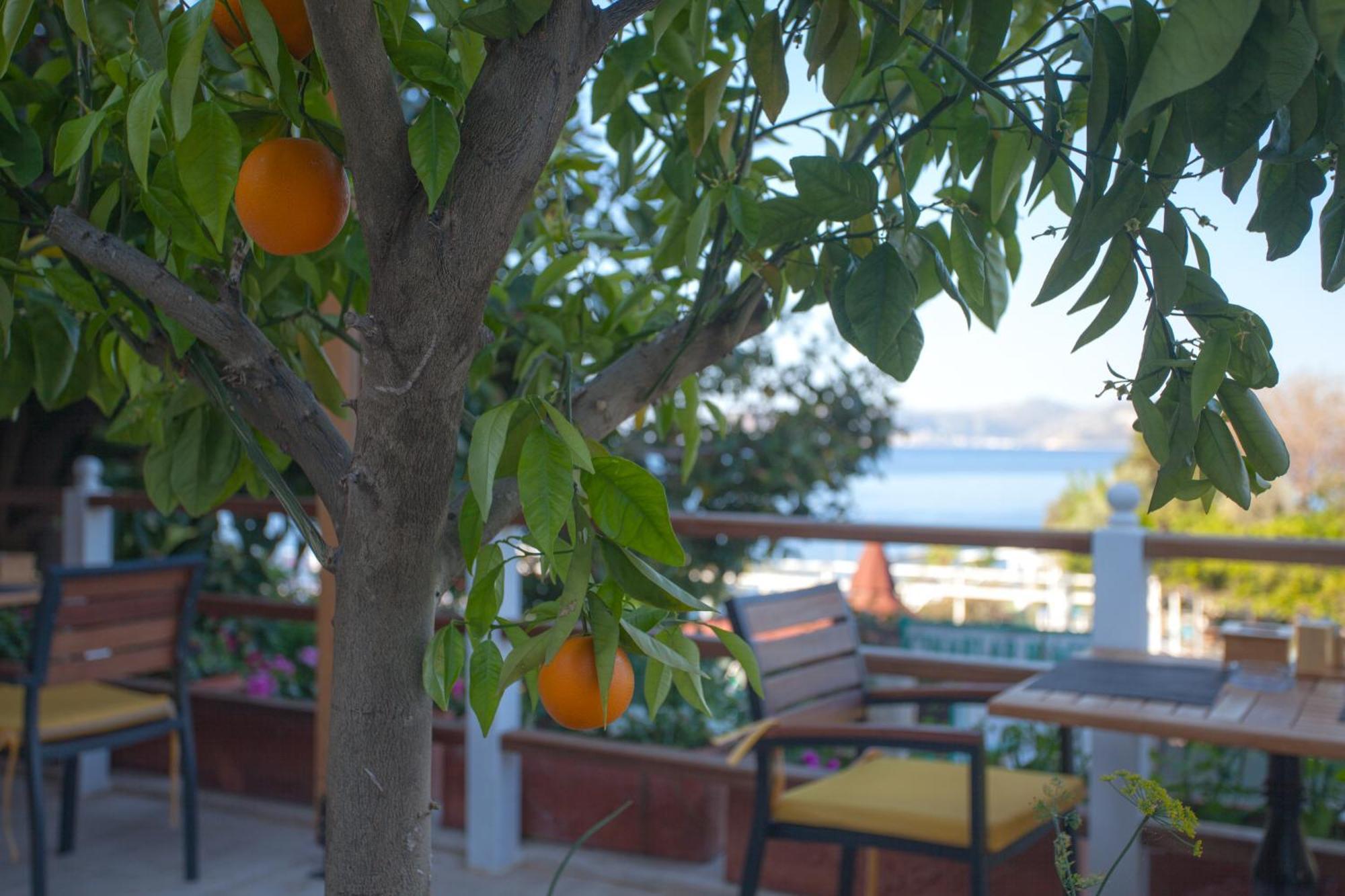 Hotel Ferah Κας Εξωτερικό φωτογραφία